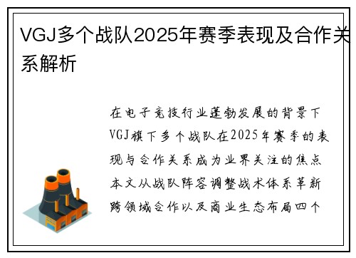 VGJ多个战队2025年赛季表现及合作关系解析