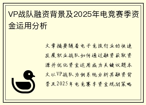 VP战队融资背景及2025年电竞赛季资金运用分析